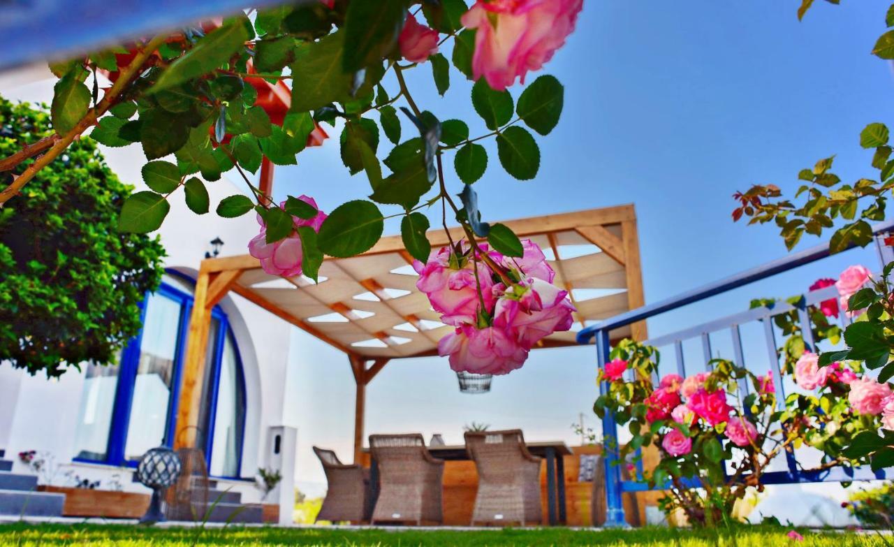 Rose On The Villa