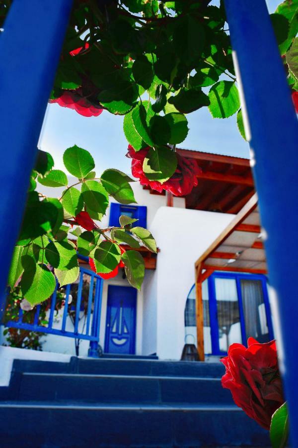 Rose On The Villa *